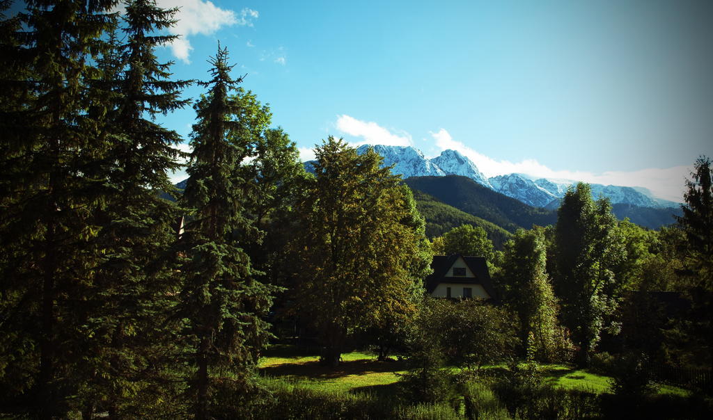Klimkowka Villa Zakopane Bilik gambar