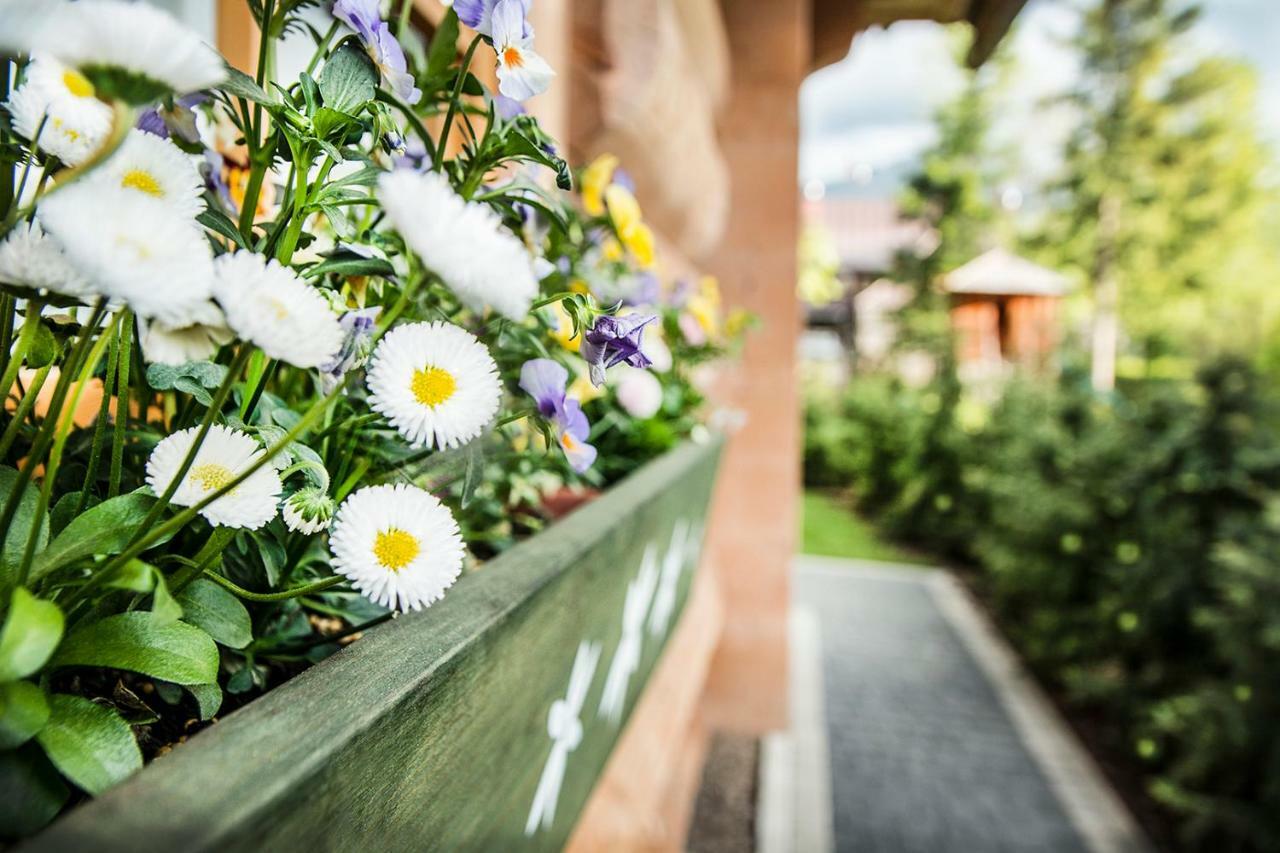 Klimkowka Villa Zakopane Luaran gambar